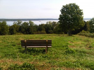 Bench View