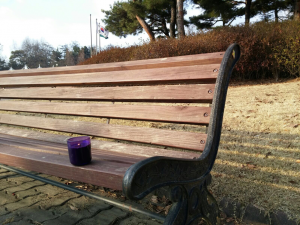 southkorea-paula